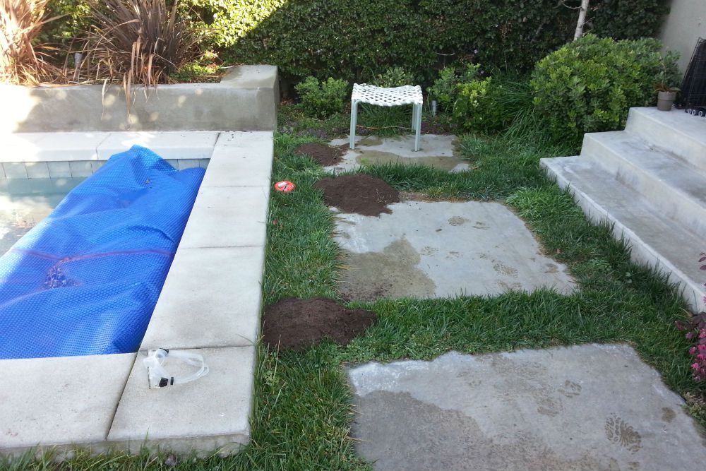 Gopher Exterminator Los Angeles | Gopher Exterminator | Thousand Oaks ...